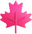 Maple leaf icon